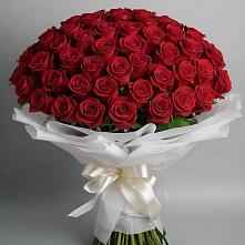 Букет 101 Красная роза Блэк Мэджик в Кунашак