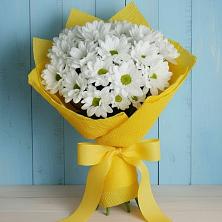 Букет цветов из:  Хризантемы в Кунашак