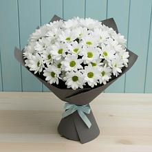 Букет цветов из:  Хризантемы #REPLACE_PRED# Кунашак