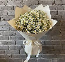 Букет цветов из:  Ромашки в Кунашак