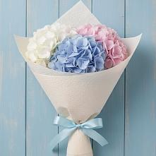 Букет цветов из:  Гортензия в Кунашак