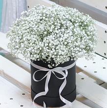 Цветочная композиция из Гипсофила в шляпной коробке в Кунашак