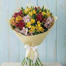 Букет цветов из:  Альстромерии в Кунашак