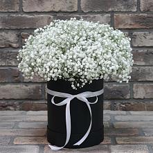 Цветочная композиция из Гипсофила в шляпной коробке #REPLACE_PRED# Кунашак