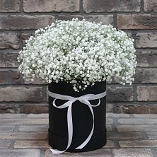 Цветочная композиция из Гипсофила в шляпной коробке в Кунашак