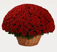 Премиум букет из: Розы в Кунашак