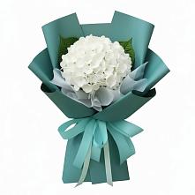 Букет цветов из:  Гортензия #REPLACE_PRED# Кунашак